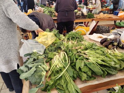 WhatsApp Image 2025-11-14 at 09.23.27 (1).jpeg